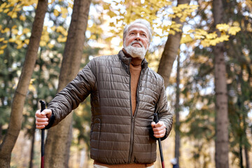 Caucasian aged man with gray short hair standing in forest with Nordic walking sticks, going home after cardio workout, smiling broadly and looking at side, in contemplation. recreation in park. - obrazy, fototapety, plakaty