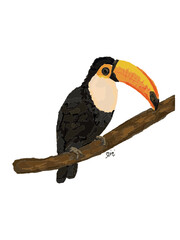 Tukan auf einem Ast © wivonne