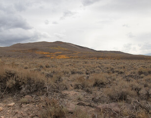 Fototapeta na wymiar landscape in the high desert