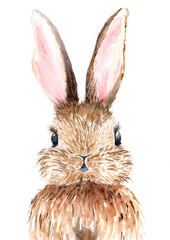 Watercolor illustration of a brown hare with black eyes and pink ears on a white background