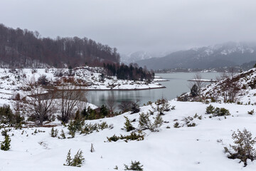 Lake of the springs of Aoos in the mountains (Epirus region, Greece) in winter on a cloudy day