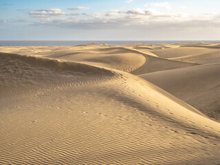 Fototapeta na wymiar Famous natural park Maspalomas dunes in Gran Canaria at sunset, Canary island, Spain