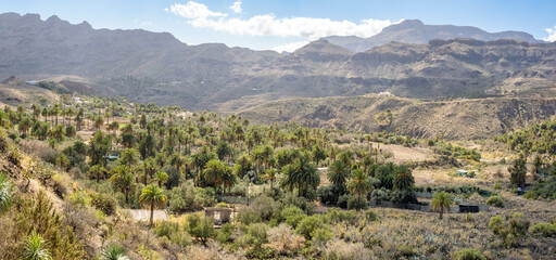 Fototapeta na wymiar View from El ingenio de Santa Lucia viewp, impressive mountain and palm trees landscape, Canary Islands, Spain