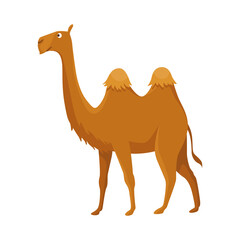 Camel with two hump, bactrian. Desert animal standing, side view. Cartoon . Flat icon design, isolated on white background