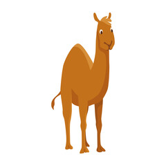 Camel with one hump. Desert animal standing in side view. Cartoon . Flat icon design, isolated on white background
