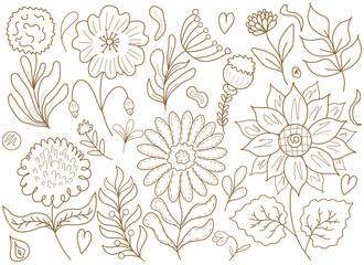 Hand draw vintage line flowers and leaf. 
Sketch floral botany collection. Poppies, chamomile and sunflower illustration. Doodle summer leaf art.