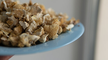 dried fruiting bodies of Hericium erinaceus mushroom close-up