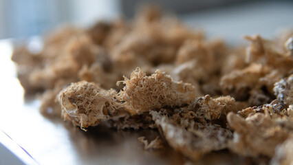 dried fruiting bodies of Hericium erinaceus. Useful substances in the composition of the fruiting bodies of the fungus lion's mane. Erinacins and Hericenones