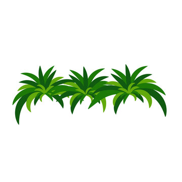 Houseplant chlorophytum for interior decoration. Vector illustration of home flowers. Trendy home decor with plants, urban jungle.