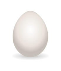 Whole egg. Realistic chicken egg with not broken eggshell. Design element of fragile egg
