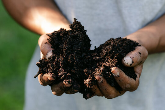 Closeup of two hands holding dark brown dirt on a sunny day