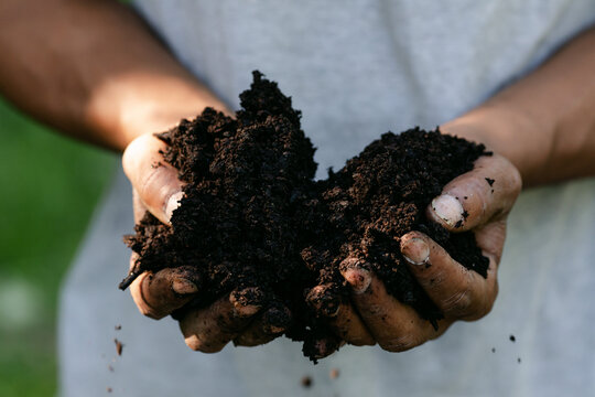 Closeup of two hands holding fresh soil in the sunshine - Powered by Adobe