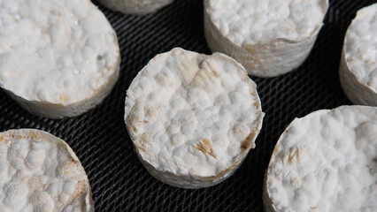 .fermented rye grain with mycelium of multi-colored trametes. Fermented Mushroom Supplements for a Healthy Lifestyle