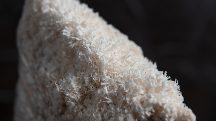 fruiting bodies before drying in a dehydrator. Health benefits of Lion's mane. Hericenones and Erinacins