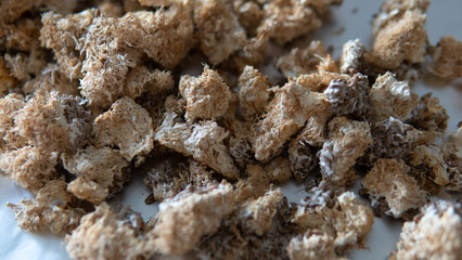 dried fruiting bodies of Hericium erinaceus. Useful substances in the composition of the fruiting bodies of the fungus lion's mane. Erinacins and Hericenones