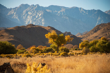 landscape in the mountains