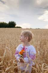 Child in   field of wheat in   embroidered shirt. Ukrainian.