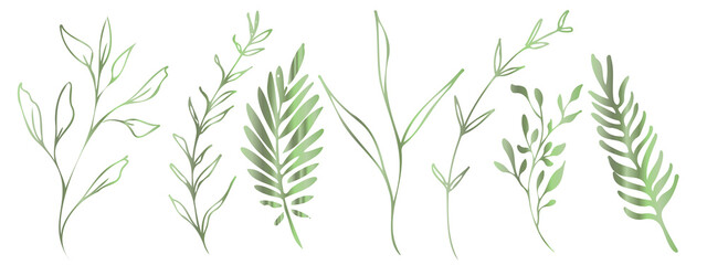 Vector plants and grasses in green style with shiny effects. Minimalist style. Hand drawn plants. With leaves and organic shapes. For your own design.