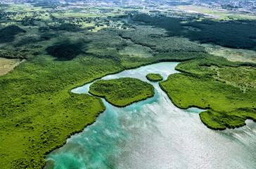 Aerial view of the West coast, Grande-Terre, Guadeloupe, Lesser Antilles, Caribbean.