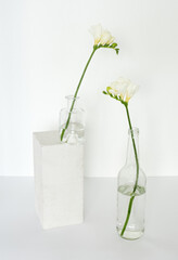 Bouquet of white freesia flowers in glass bottles on white pedestal on white background. White...