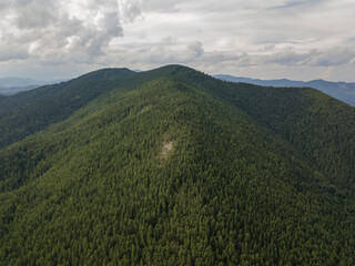 Green mountains of Ukrainian Carpathians in summer. Aerial drone view.