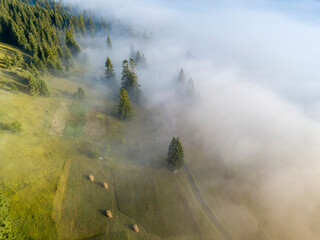 Fog envelops the mountain forest. The rays of the rising sun break through the fog. Aerial drone view.