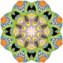 Fototapeta na wymiar Colorful cute Mandala. Decorative unusual round ornaments.