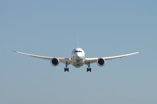 飛行機