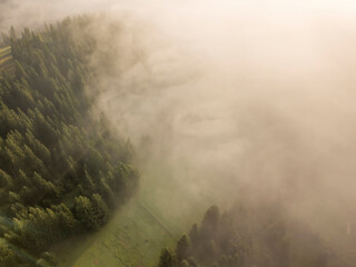 Fog envelops the mountain forest. The rays of the rising sun break through the fog. Aerial drone view.