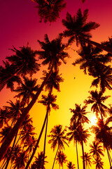 Tropical sunset with coconut palm trees silhouettes on beach