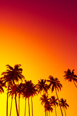 Tropical sunset with coconut palm trees silhouettes on beach with copy-space