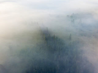 Fog envelops the mountain forest. The rays of the rising sun break through the fog. Aerial drone view.