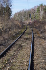 Torowisko kolejowe, zelektryfikowane z świetlną sygnalizacją kolejową w Polsce. Słup sygnalizacyjny z 5 światłami. Tory biegną przez las. - obrazy, fototapety, plakaty