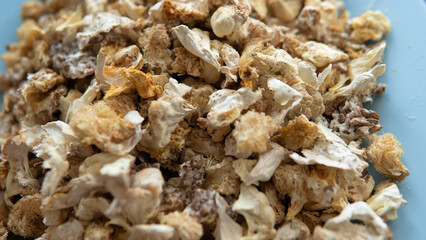 dried fruiting bodies of Hericium erinaceus mushroom close-up