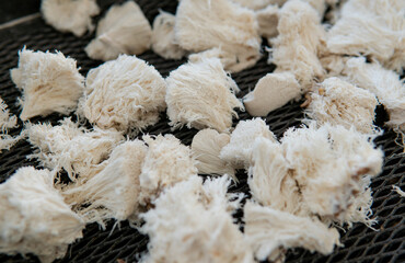 medicinal mushroom nootropic lion's mane. Hericenones and Erinacins. Hericium erinaceus fungi © contentdealer