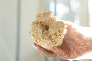 growing mushrooms lion's mane. Ready-to-bear blocks of Hericium erinaceus © kyrylovasyliev