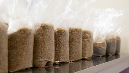 rye grains in polypropylene bags before sterilization. Grain sterilization against harmful bacteria and fungal spores
