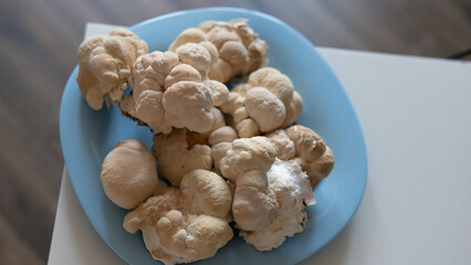 Useful substances in the composition of the fruiting bodies of the fungus lion's mane. Erinacins and Hericenones