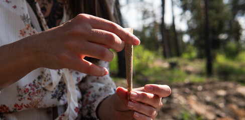 twisting joint with marijuana in nature. Recreational use of cannabis. Relieve stress with medical marijuana