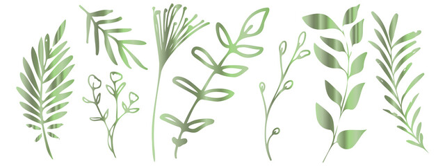 Fototapeta na wymiar Vector plants and grasses in green style with shiny effects. Minimalist style. Hand drawn plants. With leaves and organic shapes. For your own design.