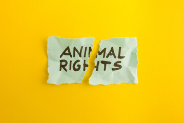 Text animal rights handwritten on torn note