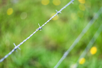 Wire fence. Prisoners. Macro photography