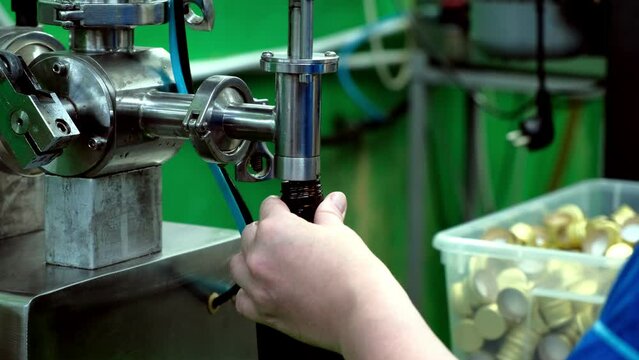 Filling of olive oil bottles in a bottling factory