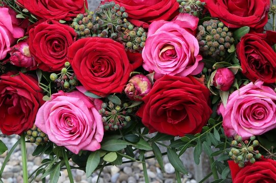 Rote Rosen und Efeu-Beeren in einem Gesteck, Floristik, Blumenarrangement, Dekoration