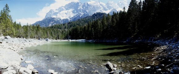 Alpen, Teich in der Nähe des Eibsee, Froschhochzeit
