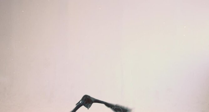 black raven flies at the camera