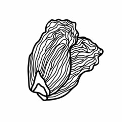 kimchi doodle icon, vector color line illustration