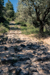Matarranya, Teruel province. Spain