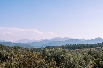 Los Ports Natural Park