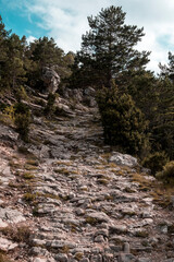 Los Ports Natural Park